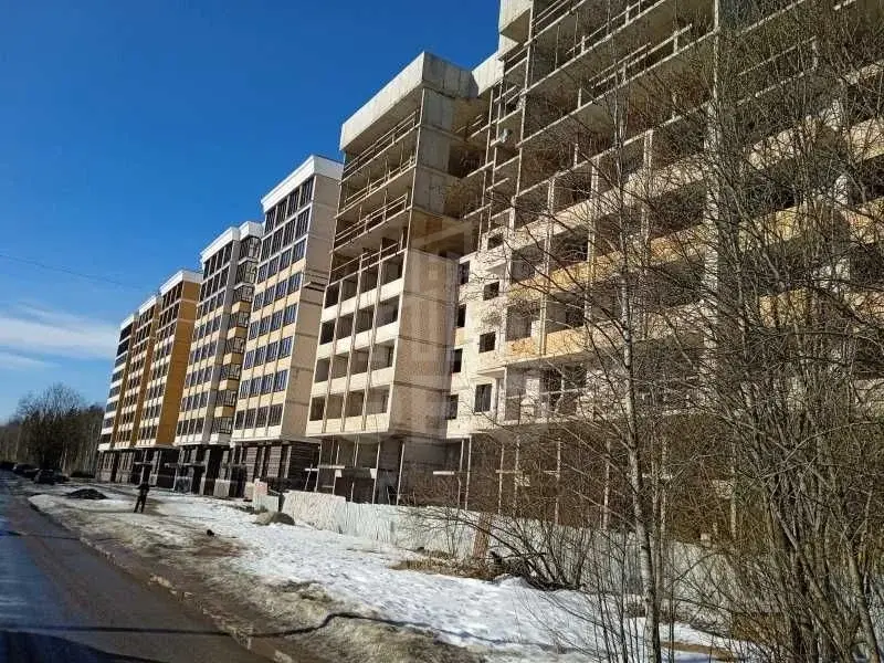 однокомнатная квартира в Санкт-Петербурге по адресу: Михайловская ул., 51