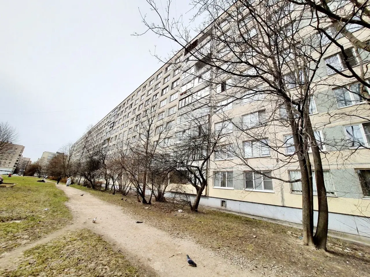 однокомнатная квартира в Санкт-Петербурге по адресу: Димитрова ул., 24, к 1