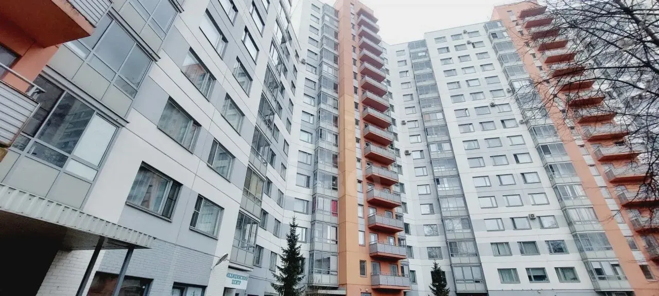 однокомнатная квартира в Санкт-Петербурге по адресу: Тореза проспект, 44, к 2