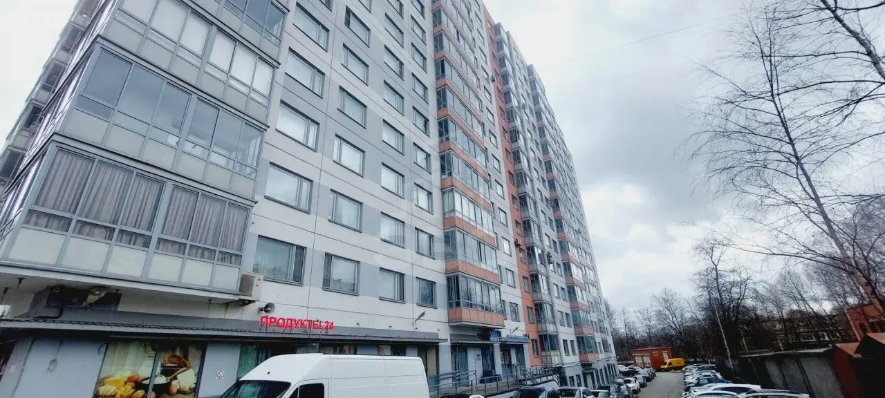 однокомнатная квартира в Санкт-Петербурге по адресу: Тореза проспект, 44, к 2