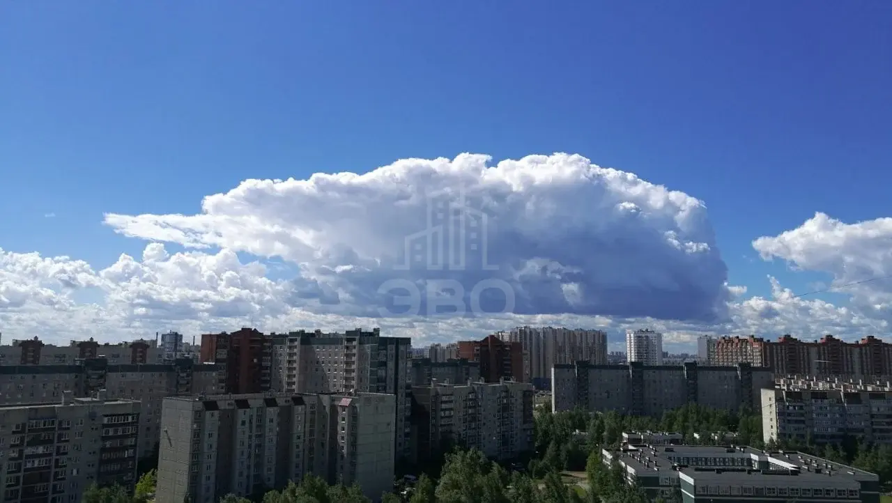 однокомнатная квартира в Санкт-Петербурге по адресу: Пятилеток проспект, 8, к 2