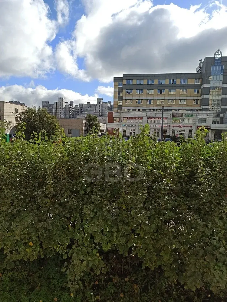 комната в Санкт-Петербурге по адресу: Есенина ул., 8, к 1