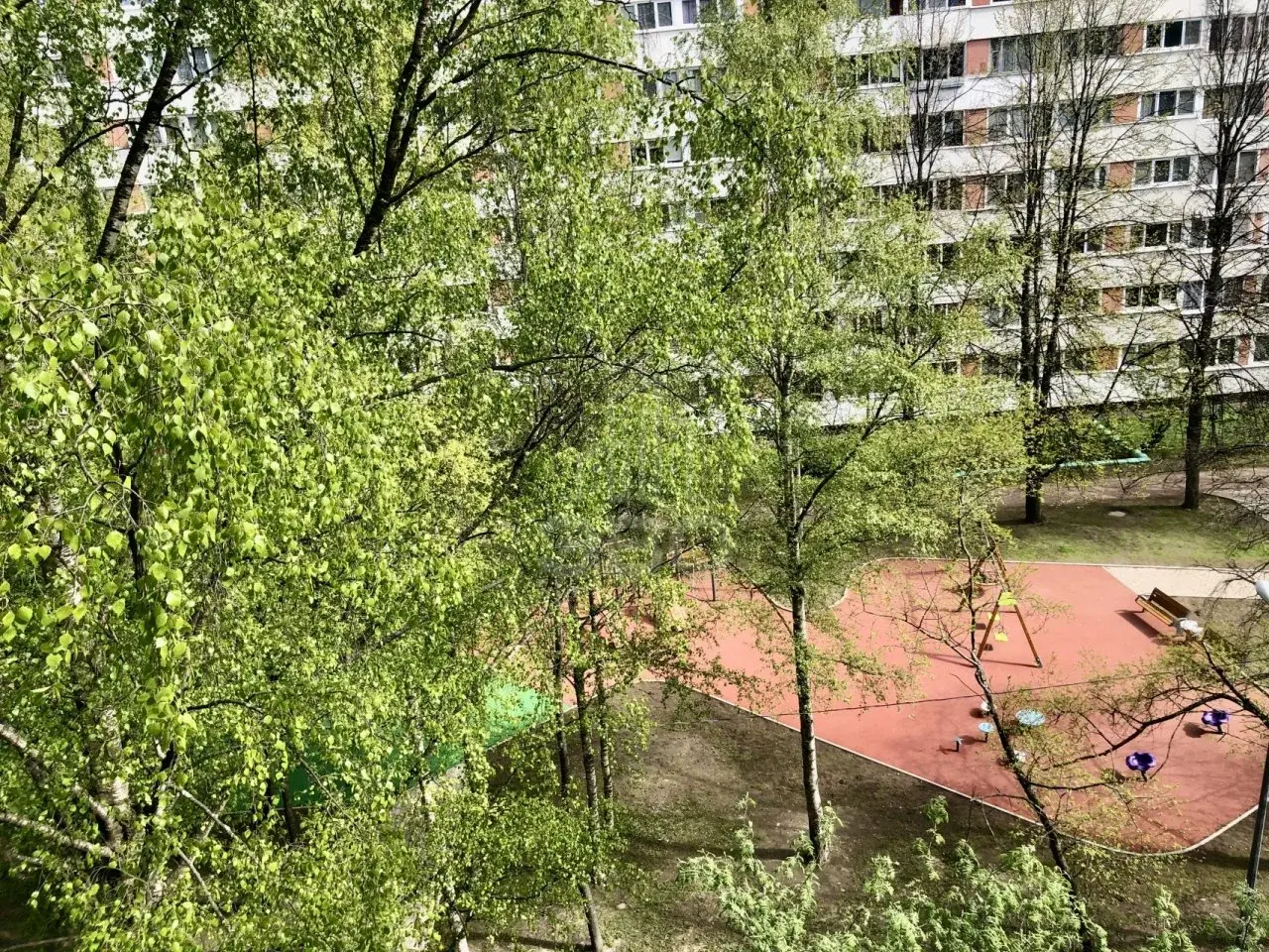 однокомнатная квартира в Санкт-Петербурге по адресу: Луначарского проспект, 70, к 1