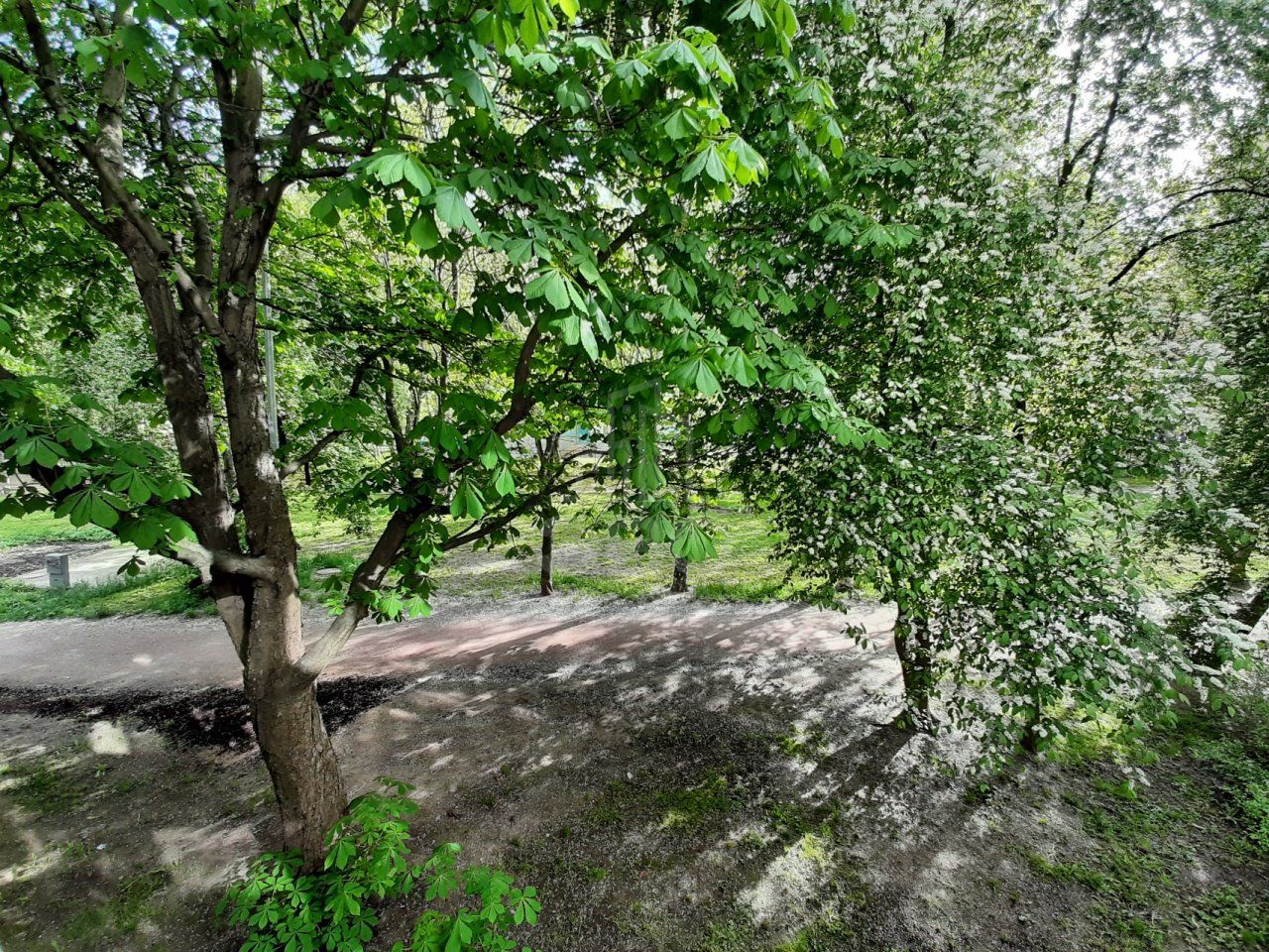 комната в Санкт-Петербурге по адресу: Просвещения проспект, 84, к 3