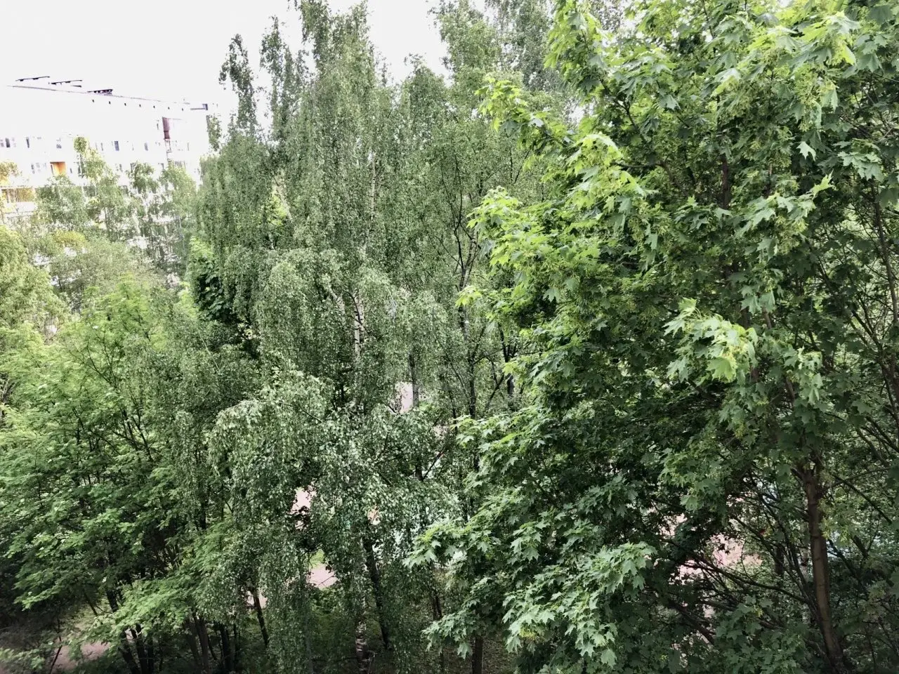 однокомнатная квартира в Санкт-Петербурге по адресу: Художников проспект, 13, к 4