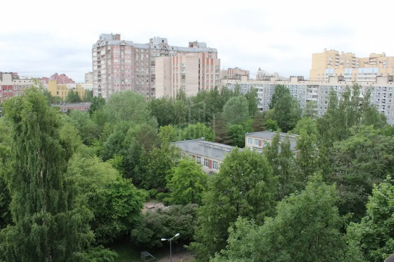 однокомнатная квартира в Санкт-Петербурге по адресу: Луначарского проспект, 19, к 1