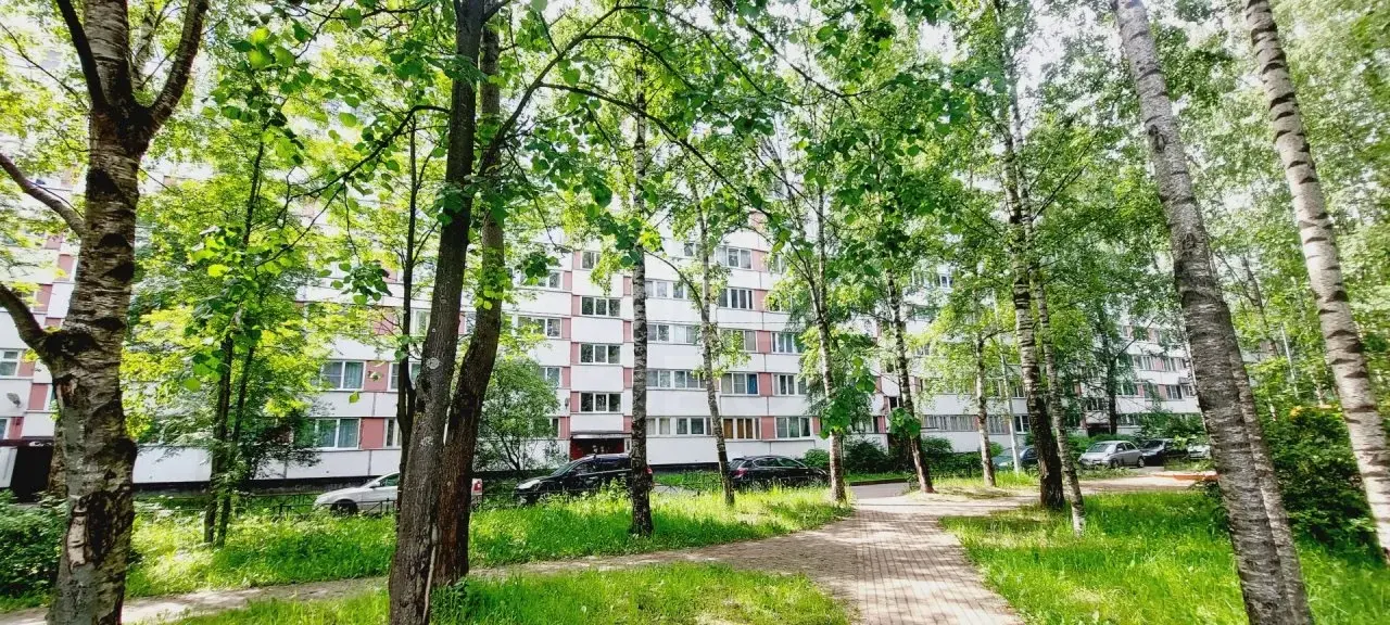 однокомнатная квартира в Санкт-Петербурге по адресу: Придорожная аллея, 23