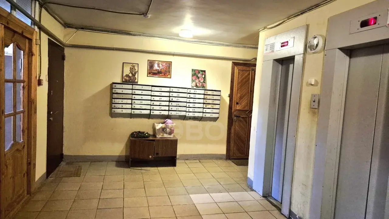 однокомнатная квартира в Санкт-Петербурге по адресу: Ушинского ул., 19