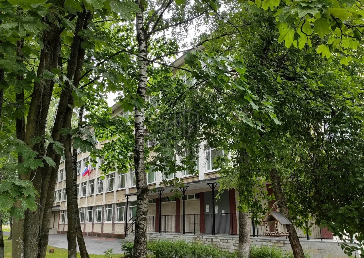 трехкомнатная квартира в Санкт-Петербурге по адресу: Маршала Блюхера проспект, 44