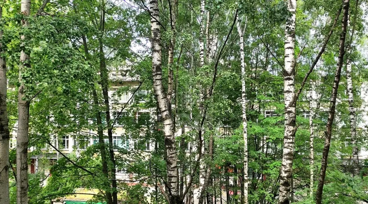 трехкомнатная квартира в Санкт-Петербурге по адресу: Маршала Блюхера проспект, 44