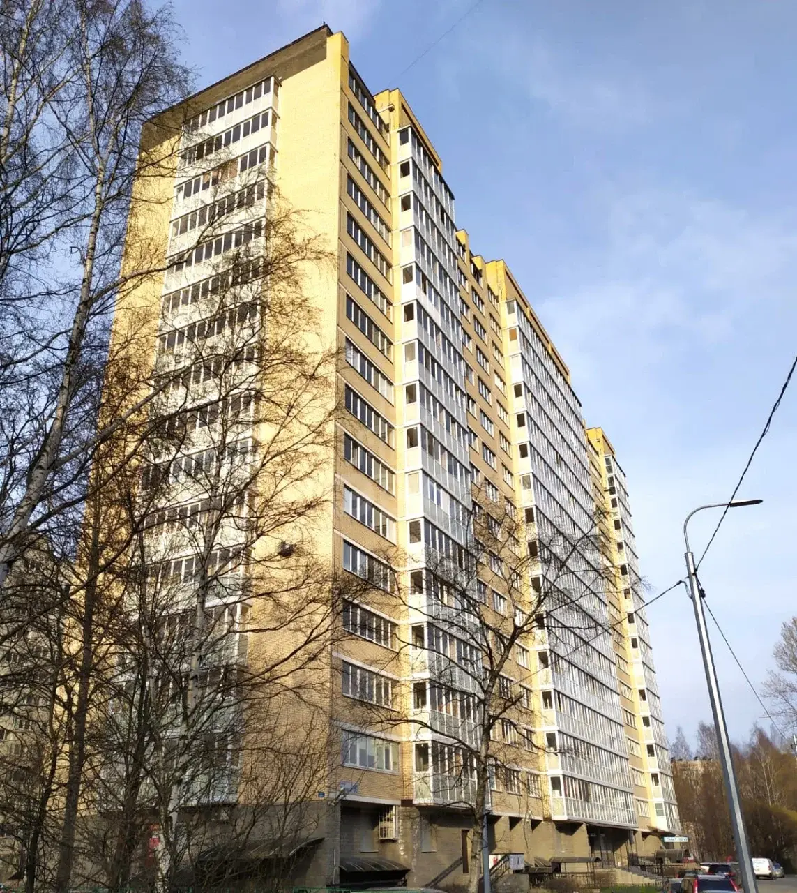 однокомнатная квартира в Санкт-Петербурге по адресу: Руставели ул., 60, литера А