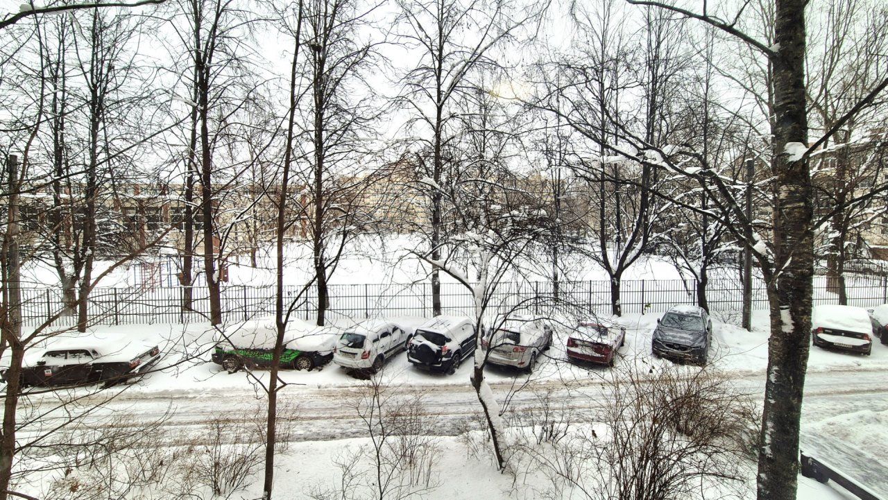 двухкомнатная квартира в Санкт-Петербург по адресу: Ольги Форш ул., 17, к 1