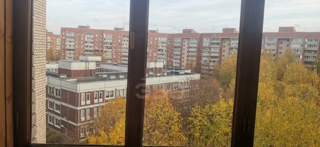 однокомнатная квартира в Санкт-Петербурге по адресу: Ильюшина ул., 13, к 2