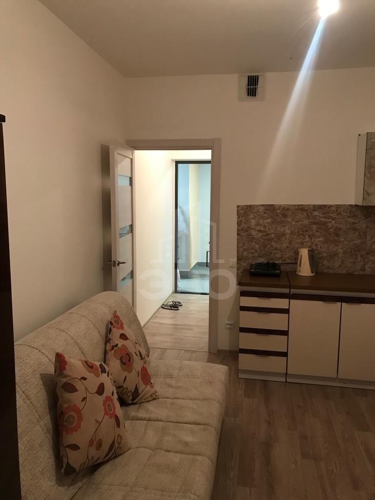 однокомнатная квартира в Санкт-Петербурге по адресу: Реки Каменки наб., 19, к 1