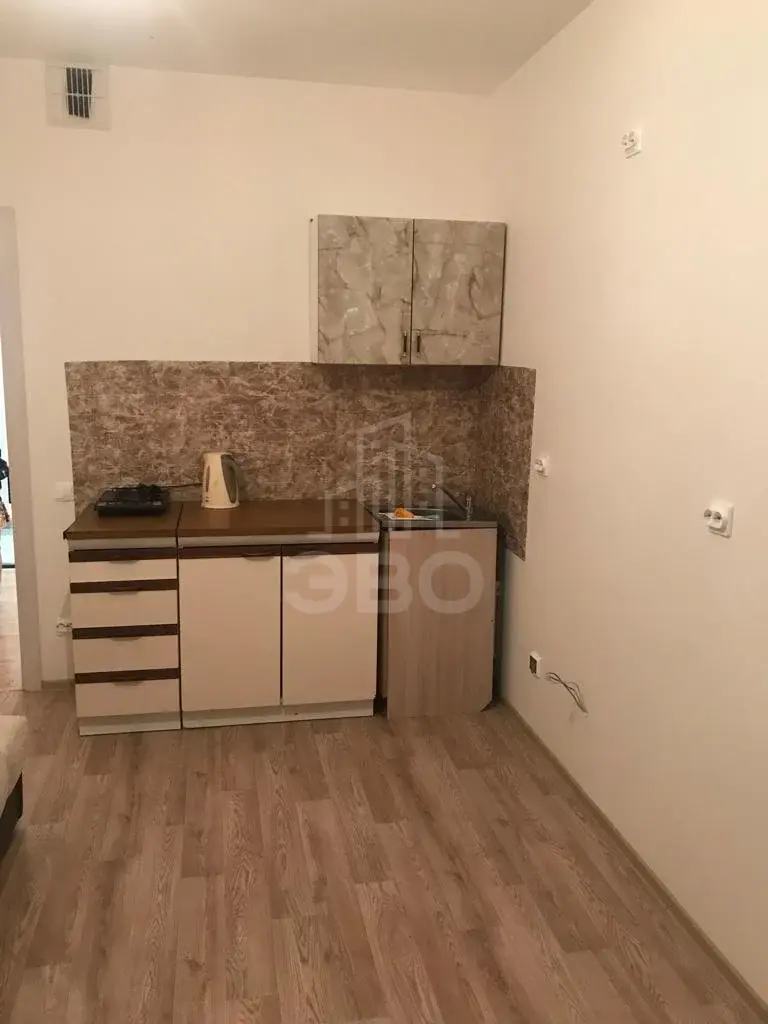 однокомнатная квартира в Санкт-Петербурге по адресу: Реки Каменки наб., 19, к 1
