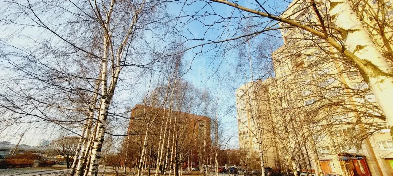 однокомнатная квартира в Санкт-Петербурге по адресу: Ильюшина ул., 13, к 2