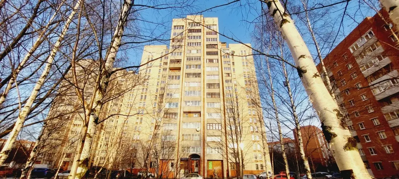 однокомнатная квартира в Санкт-Петербурге по адресу: Ильюшина ул., 13, к 2