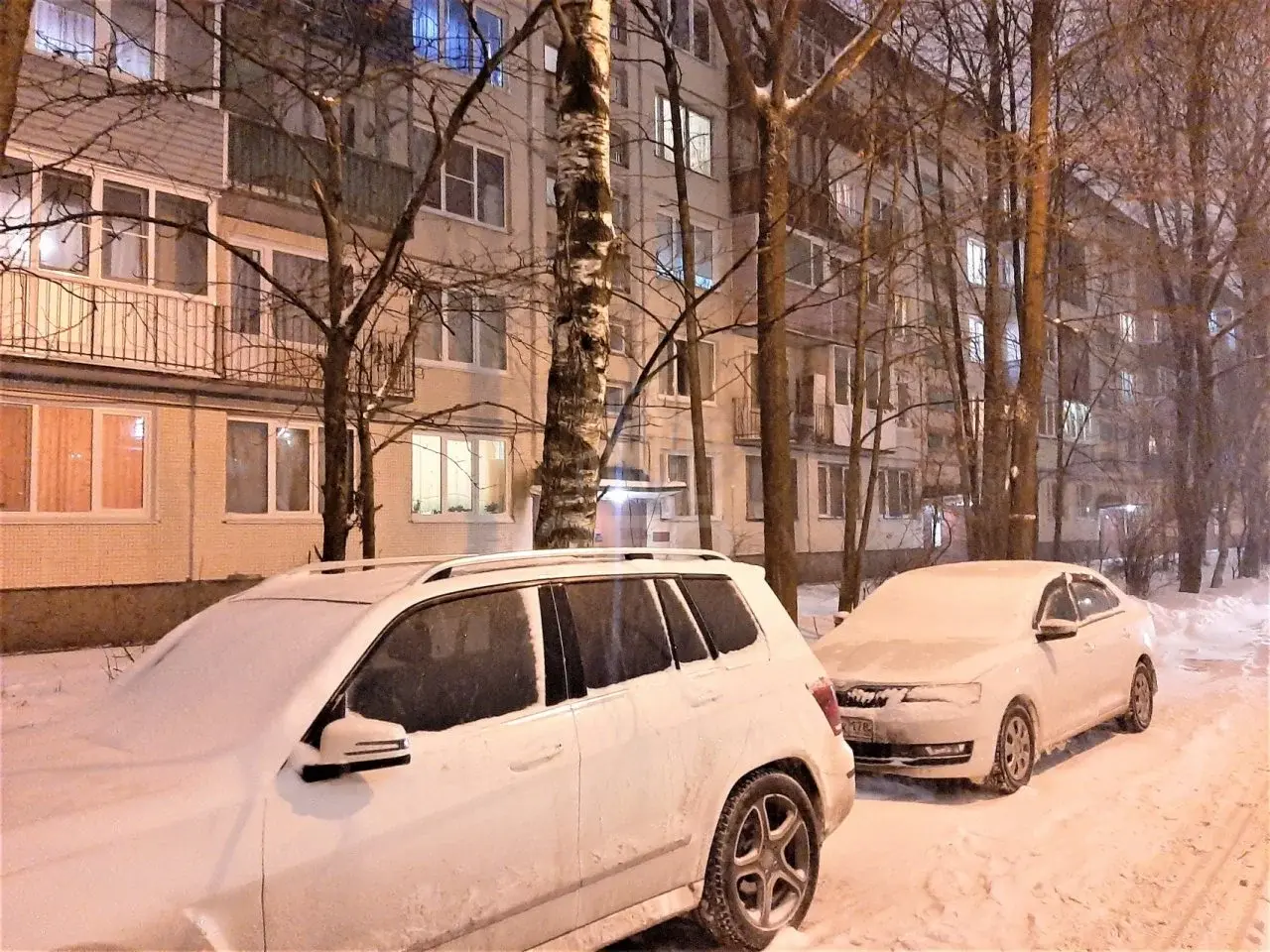 двухкомнатная квартира в Санкт-Петербурге по адресу: Культуры проспект, 9, к 2