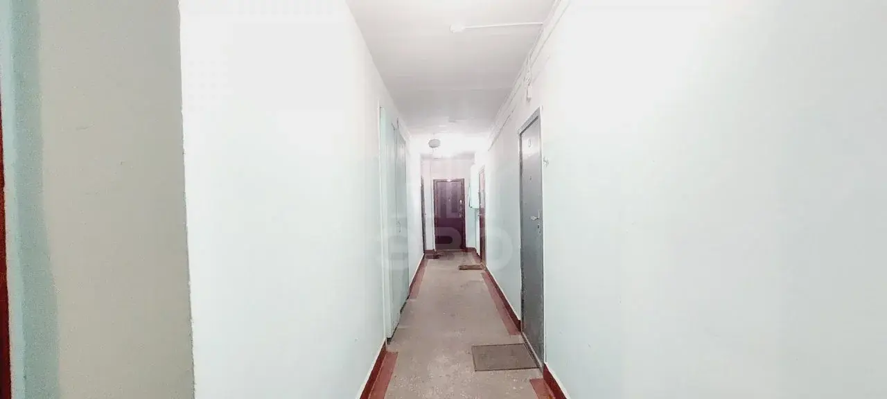однокомнатная квартира в Санкт-Петербурге по адресу: Жака Дюкло ул., 10