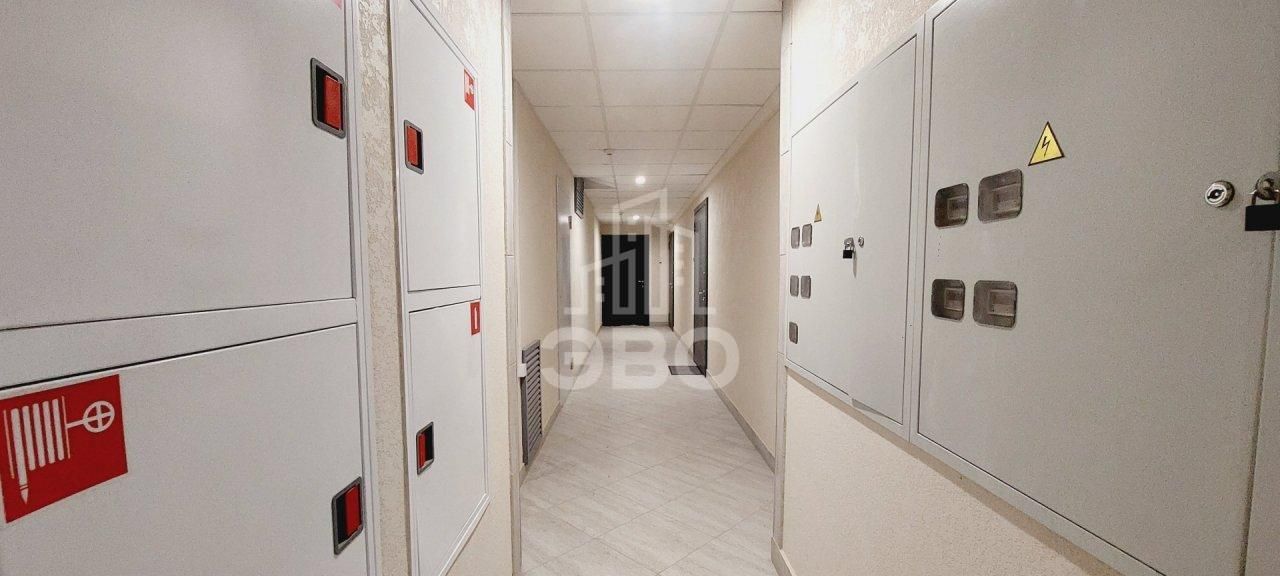 однокомнатная квартира в Санкт-Петербурге по адресу: Кустодиева ул., 3, к 3