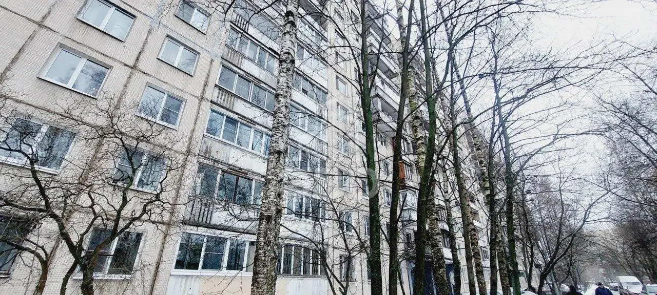 однокомнатная квартира в Санкт-Петербурге по адресу: Энгельса проспект, 145, к 3