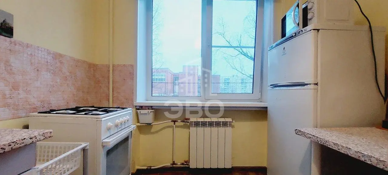 однокомнатная квартира в Санкт-Петербурге по адресу: Энгельса проспект, 145, к 3