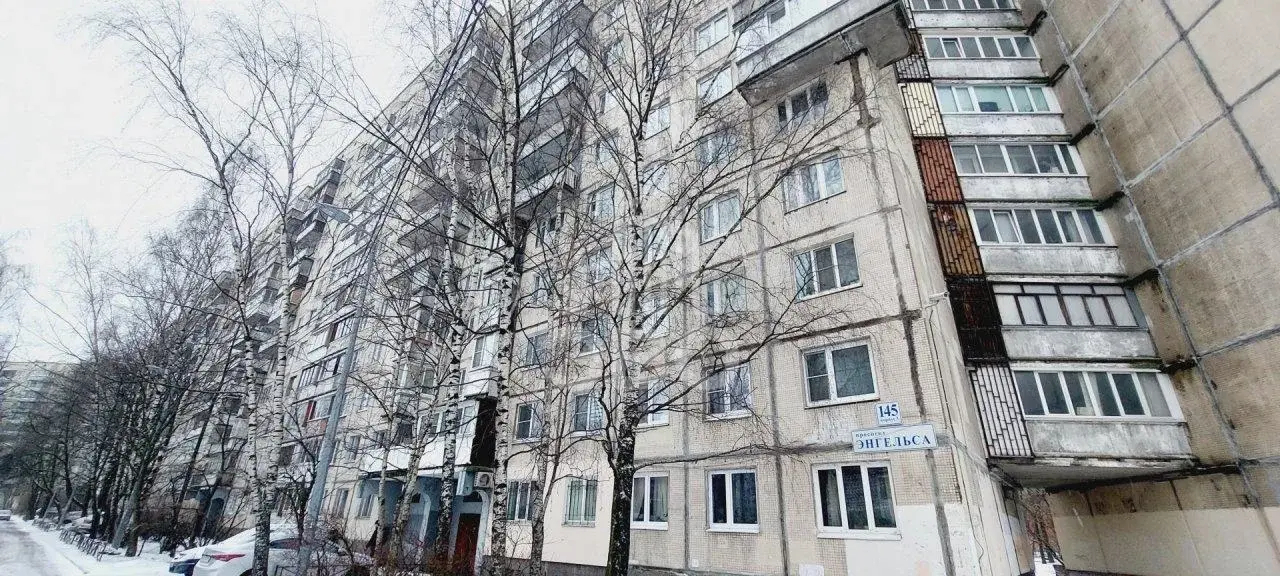 однокомнатная квартира в Санкт-Петербурге по адресу: Энгельса проспект, 145, к 3