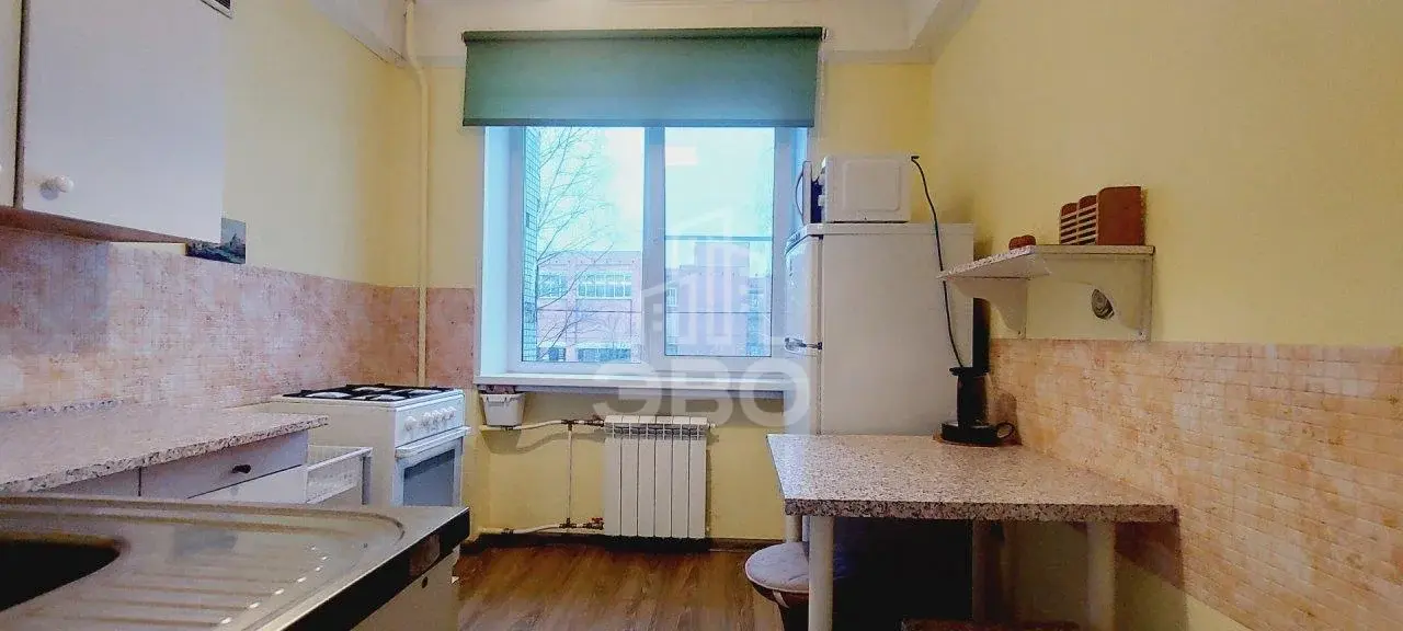 однокомнатная квартира в Санкт-Петербурге по адресу: Энгельса проспект, 145, к 3