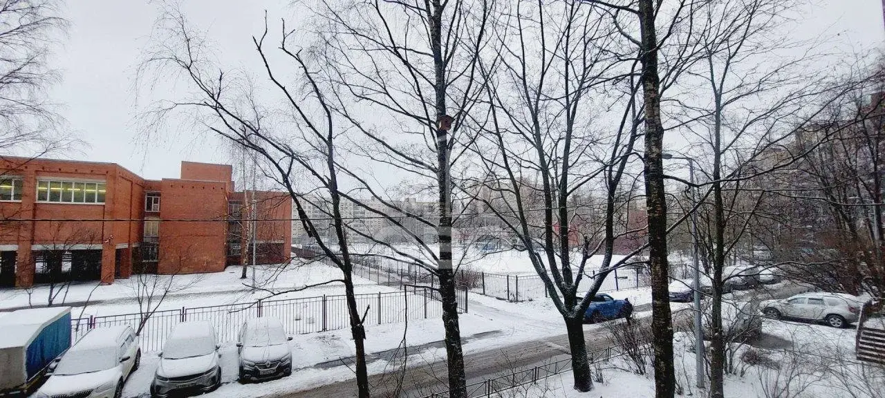 однокомнатная квартира в Санкт-Петербурге по адресу: Энгельса проспект, 145, к 3