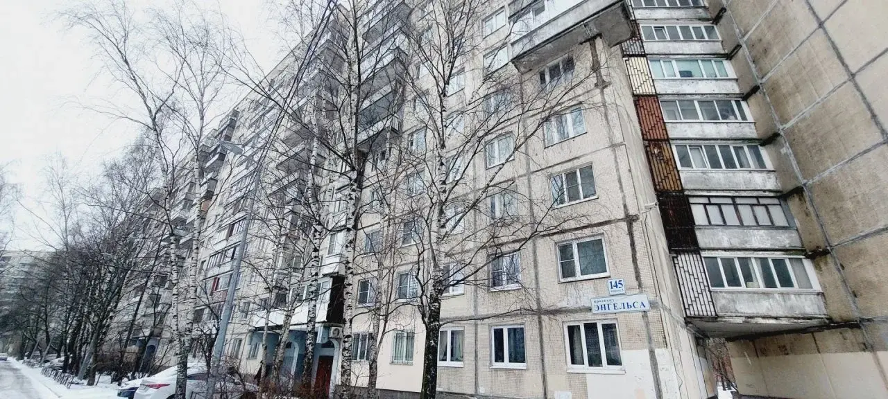 однокомнатная квартира в Санкт-Петербурге по адресу: Энгельса проспект, 145, к 3