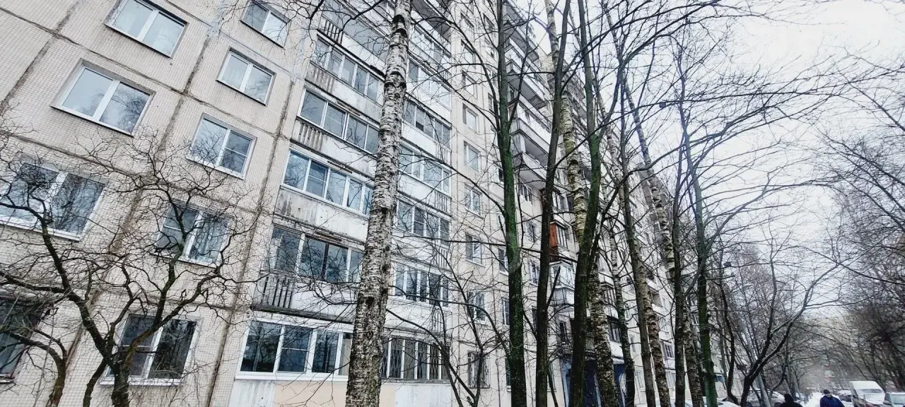 однокомнатная квартира в Санкт-Петербурге по адресу: Энгельса проспект, 145, к 3