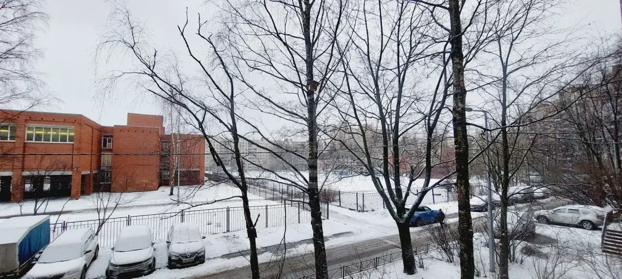 однокомнатная квартира в Санкт-Петербурге по адресу: Энгельса проспект, 145, к 3