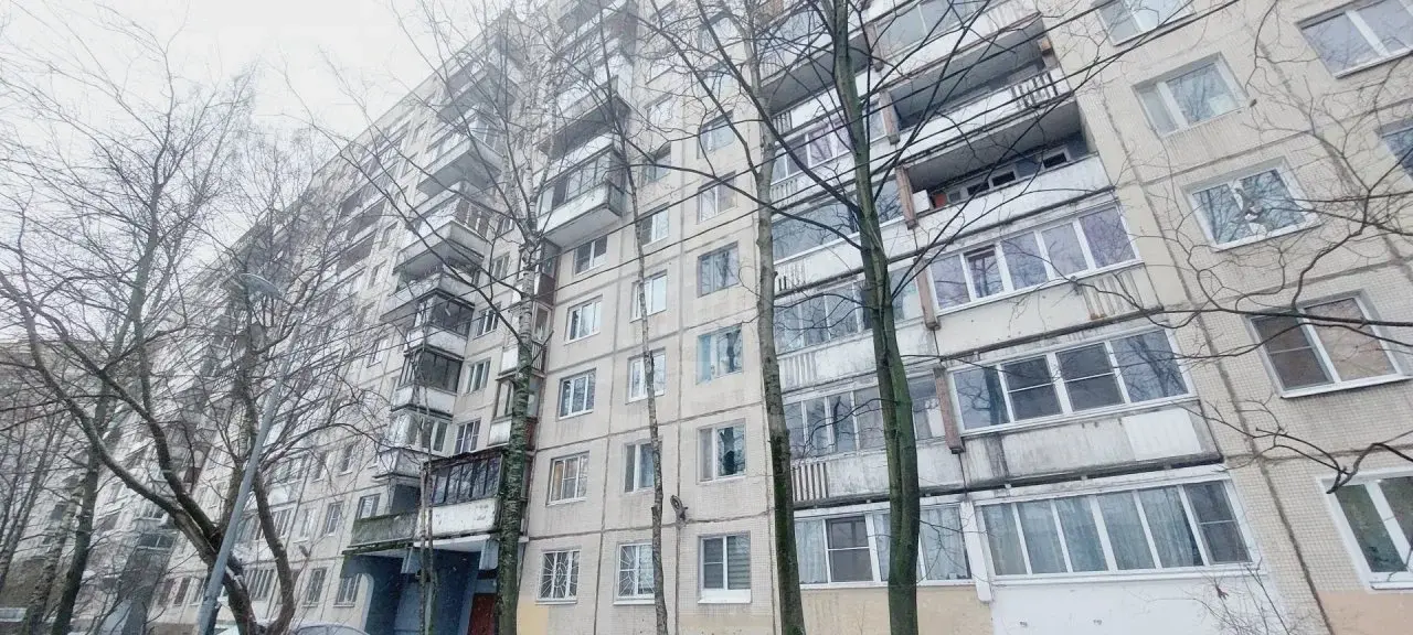 однокомнатная квартира в Санкт-Петербурге по адресу: Энгельса проспект, 145, к 3