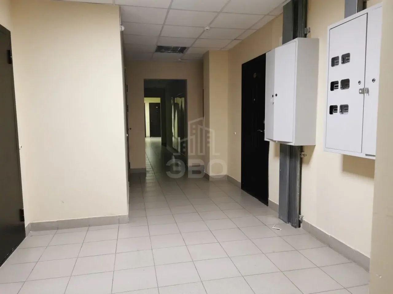 однокомнатная квартира в Санкт-Петербурге по адресу: Просвещения проспект, 43