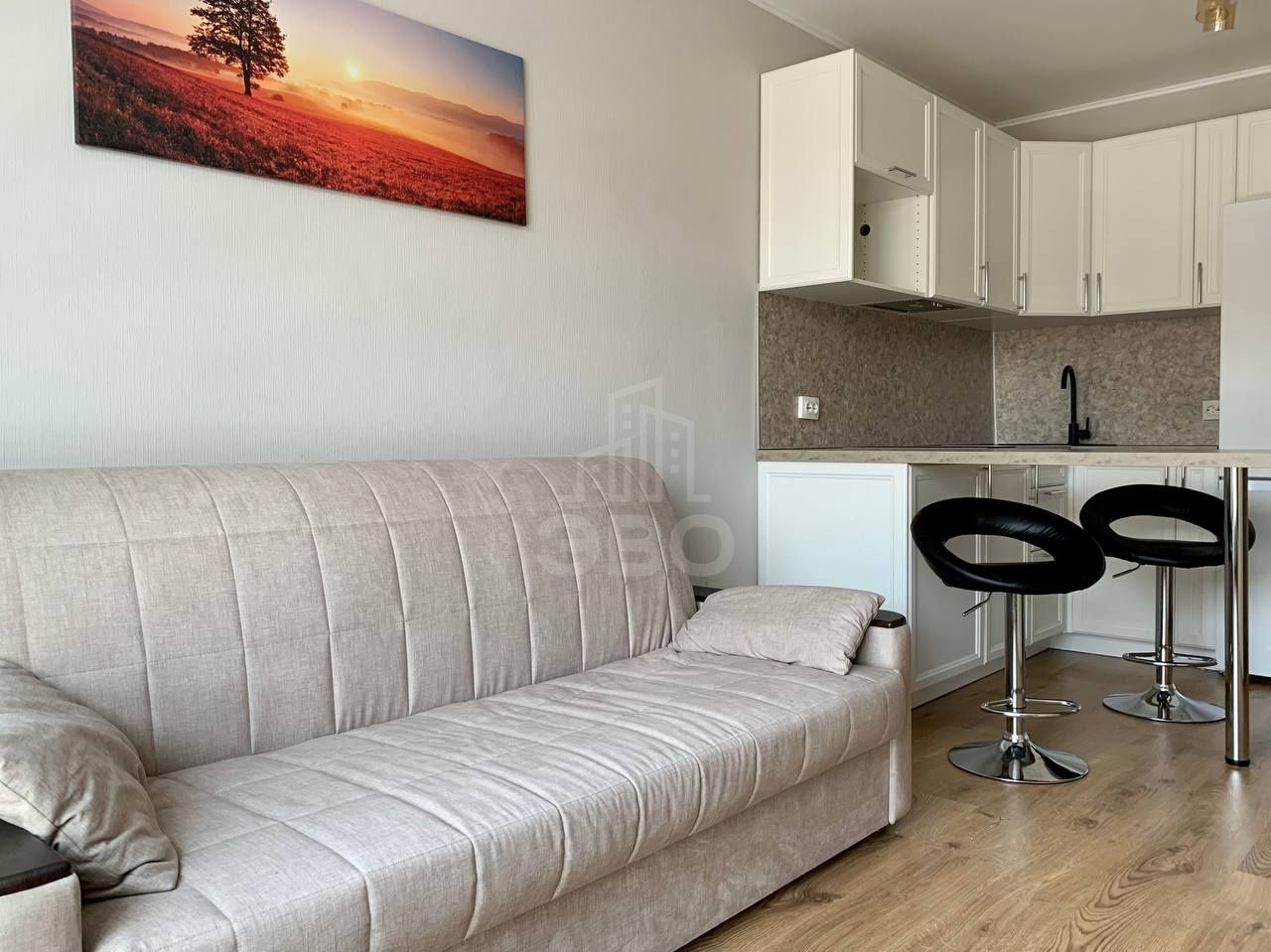 однокомнатная квартира в Санкт-Петербурге по адресу: Толубеевский проезд, 8, к 2