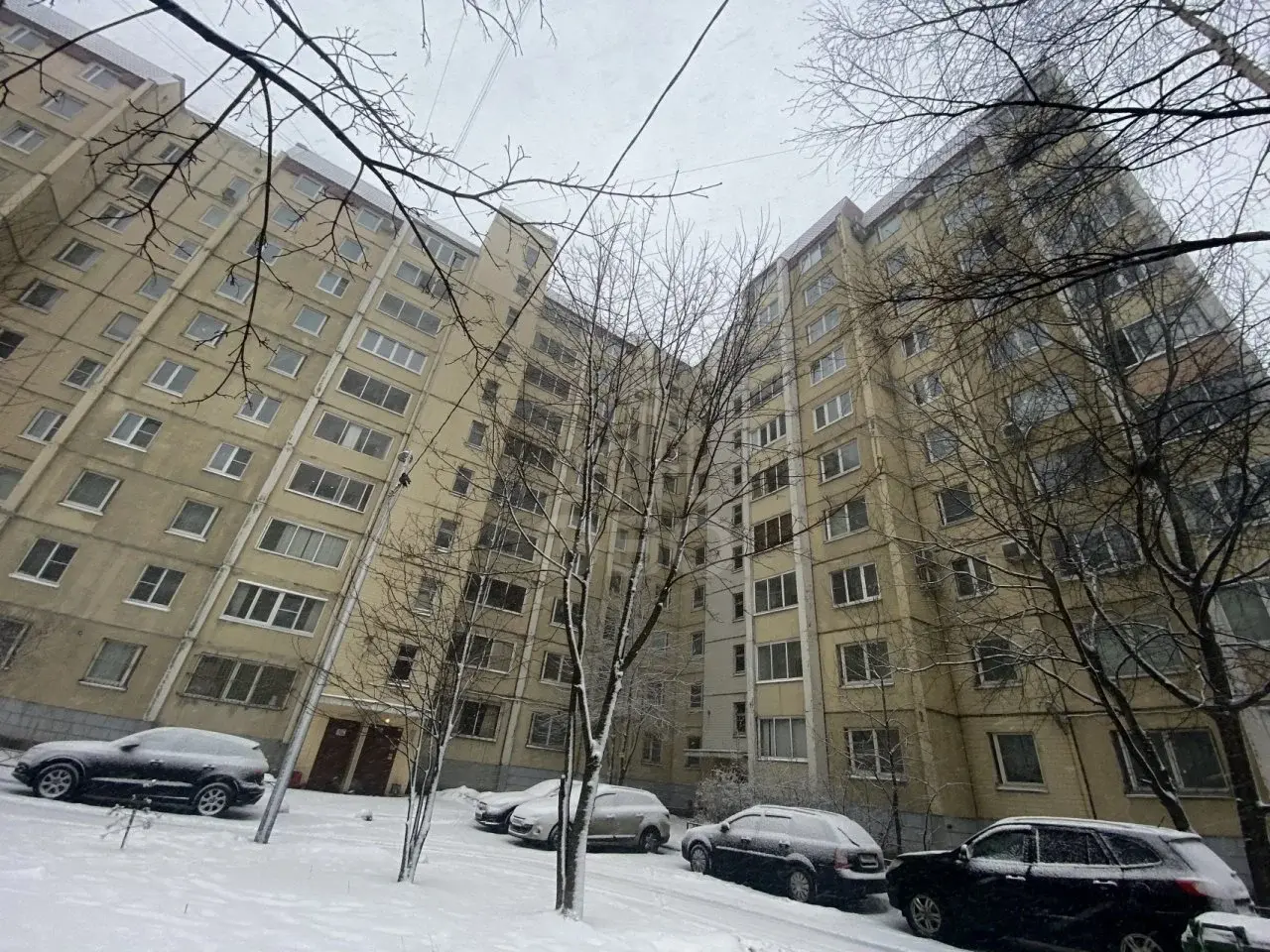 однокомнатная квартира в Санкт-Петербурге по адресу: Просвещения проспект, 50