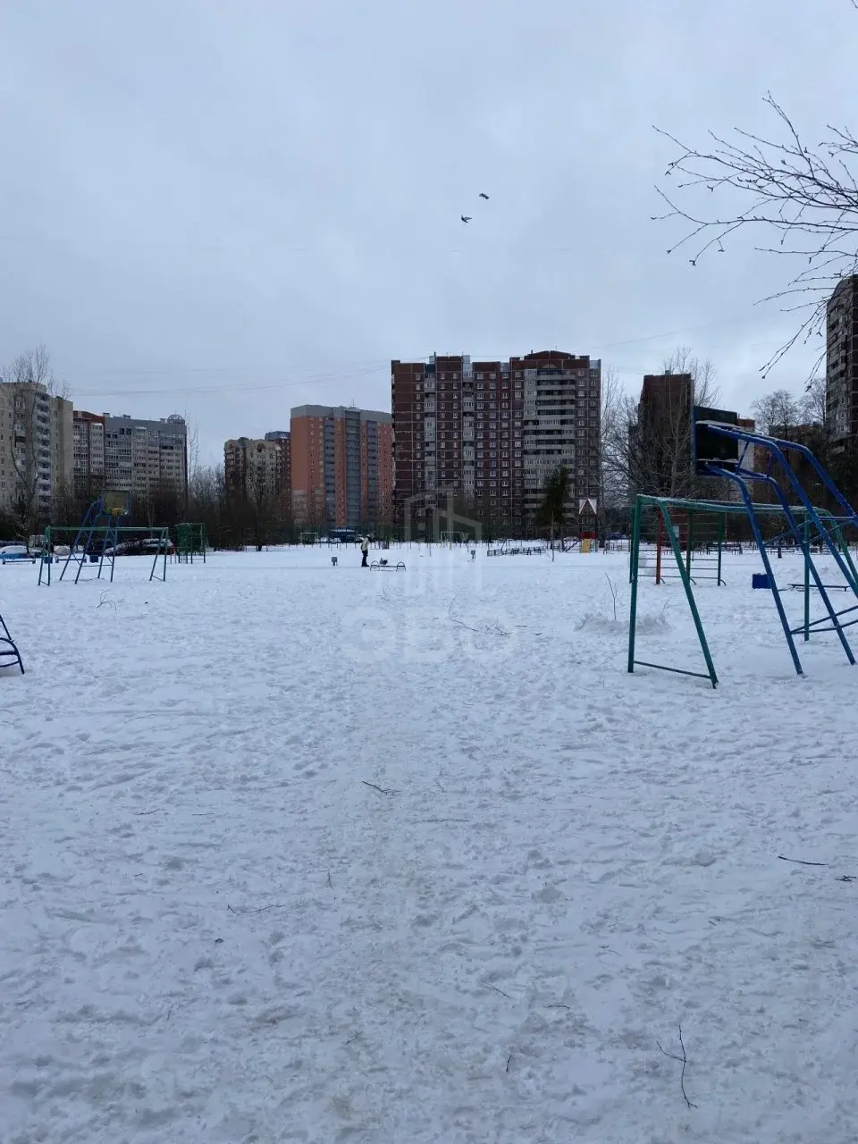 однокомнатная квартира в Санкт-Петербурге по адресу: Афонская ул., 20