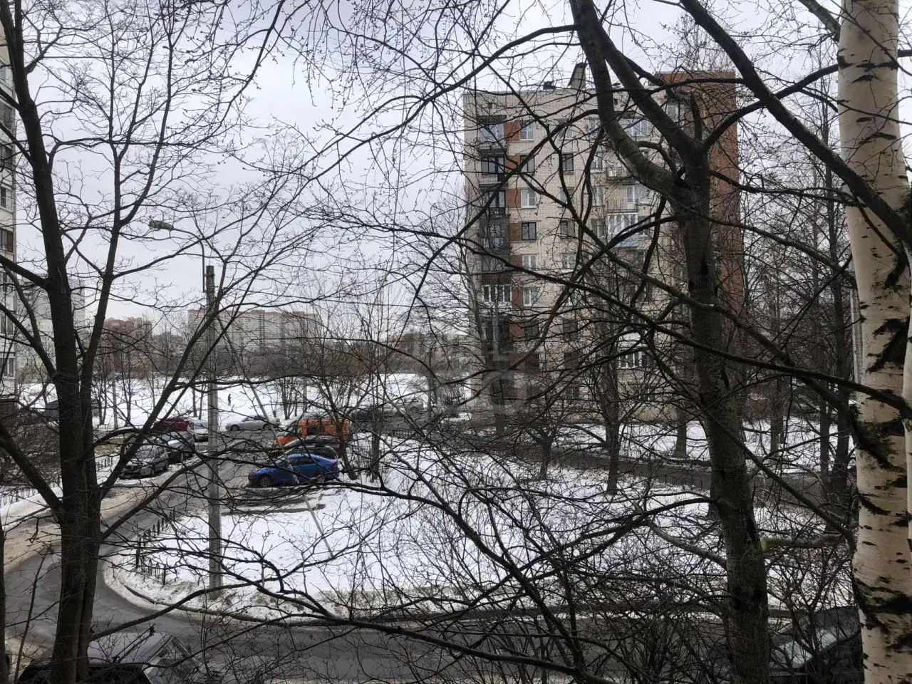однокомнатная квартира в Санкт-Петербурге по адресу: Димитрова ул., 10, к 4, литера 206