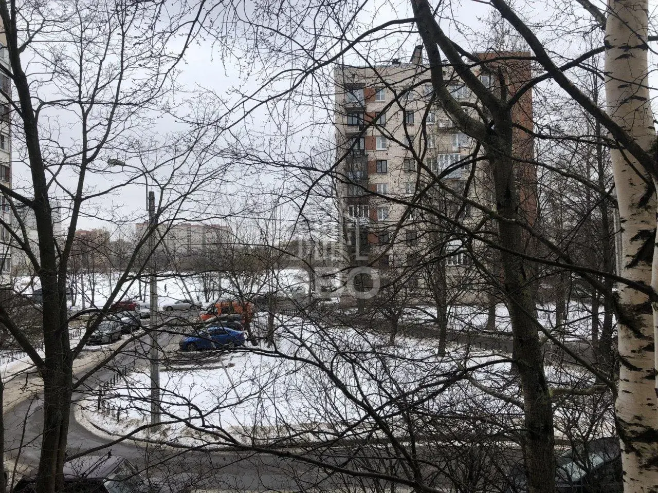 однокомнатная квартира в Санкт-Петербурге по адресу: Димитрова ул., 10, к 4, литера 206