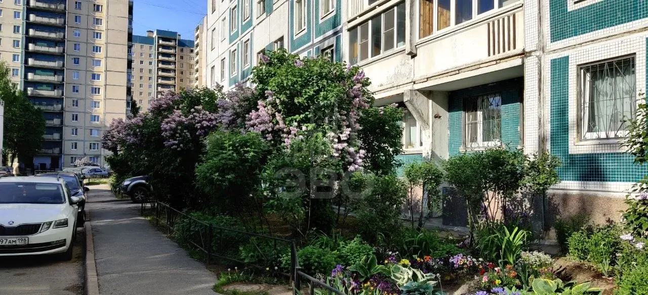 трехкомнатная квартира в Санкт-Петербурге по адресу: Камышовая ул., 16