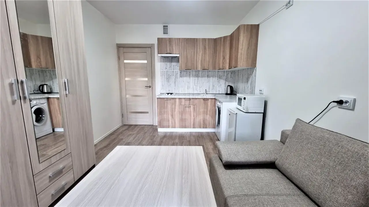 однокомнатная квартира в Санкт-Петербурге по адресу: Реки Каменки наб., 21, к 1