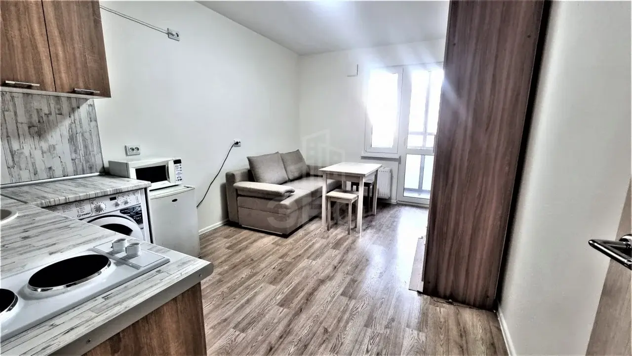однокомнатная квартира в Санкт-Петербурге по адресу: Реки Каменки наб., 21, к 1
