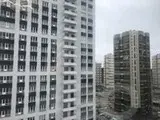однокомнатная квартира в Санкт-Петербурге по адресу: Брюлловская ул., 5