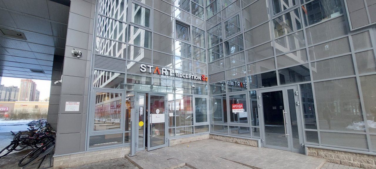 однокомнатная квартира в Санкт-Петербурге по адресу: Толубеевский проезд, 8, к 2