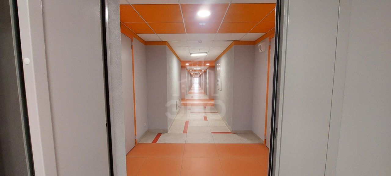 однокомнатная квартира в Санкт-Петербурге по адресу: Толубеевский проезд, 8, к 2