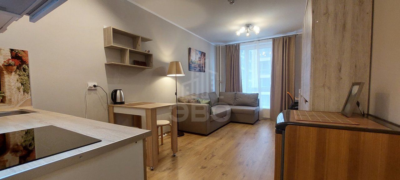 однокомнатная квартира в Санкт-Петербурге по адресу: Толубеевский проезд, 8, к 2