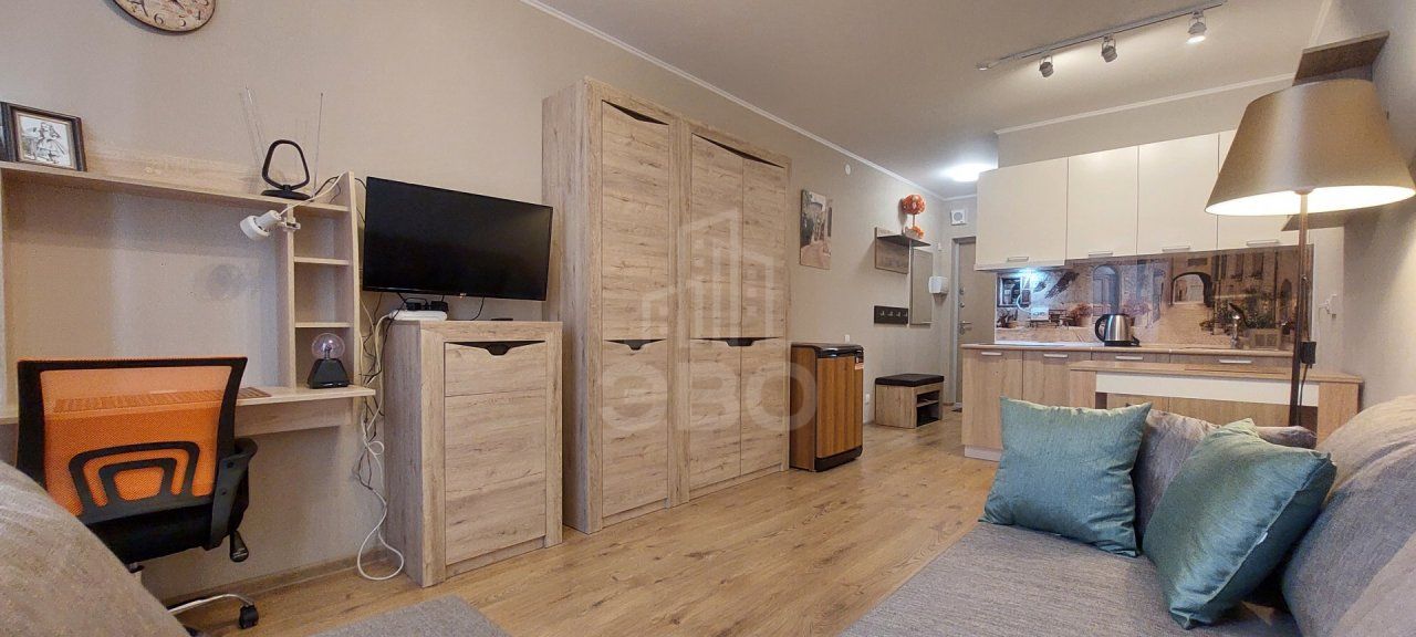 однокомнатная квартира в Санкт-Петербурге по адресу: Толубеевский проезд, 8, к 2