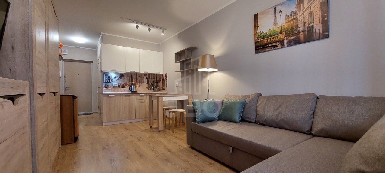 однокомнатная квартира в Санкт-Петербурге по адресу: Толубеевский проезд, 8, к 2