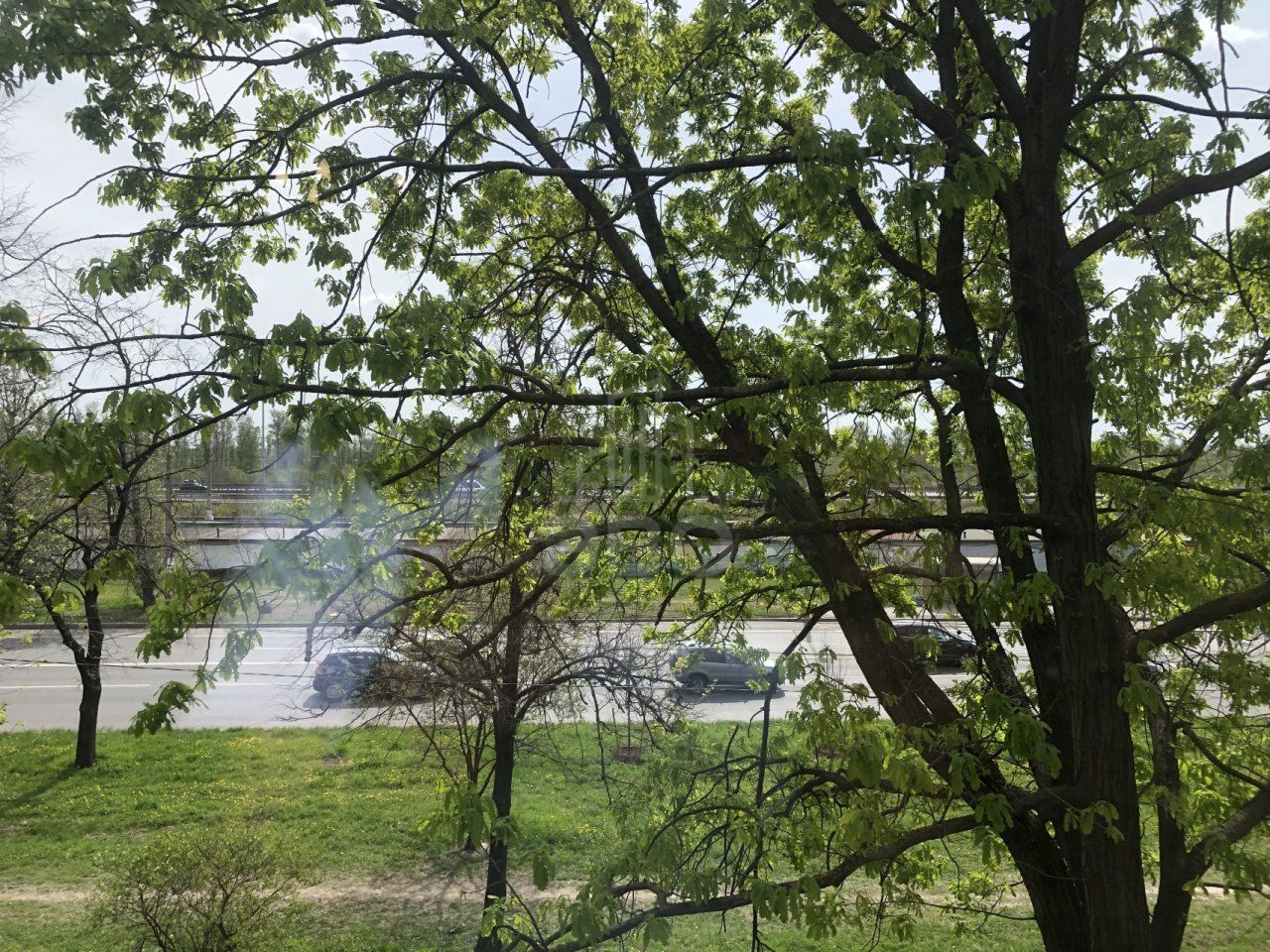 двухкомнатная квартира в Санкт-Петербурге по адресу: Народного Ополчения проспект, 141