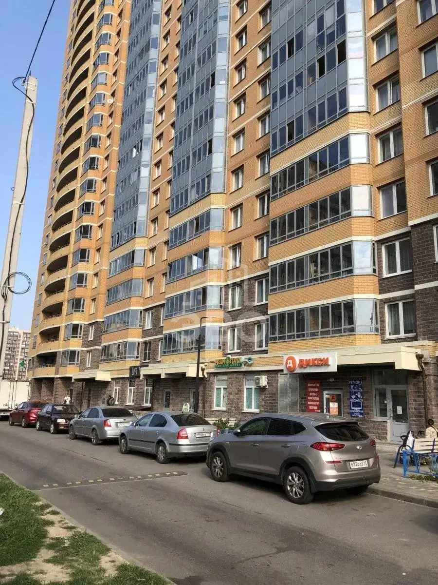 однокомнатная квартира в Санкт-Петербурге по адресу: Охтинская аллея, 10, к 1